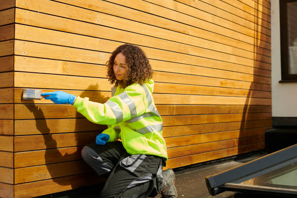 Best Storm Damage Siding Repair  in Wurtland, KY